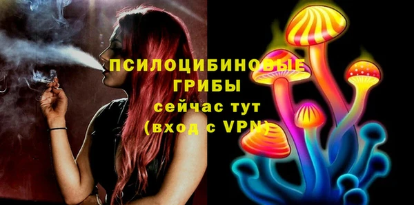 ECSTASY Аркадак