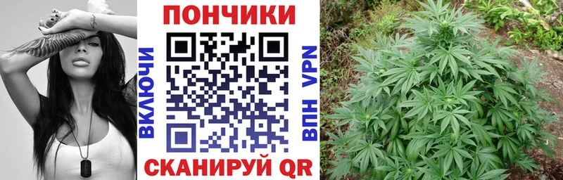 ссылка на мегу зеркало  darknet какой сайт  Конопля Amnesia  Советская Гавань 